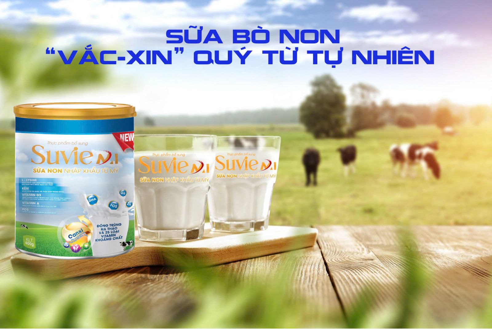 Sữa bò non - “Vắc-xin” quý từ tự nhiên